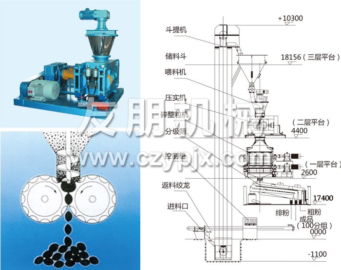 干法輥壓造粒機結(jié)構(gòu)示意圖